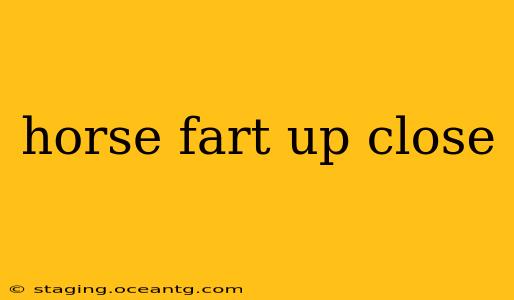 horse fart up close
