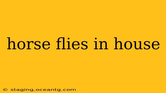 horse flies in house
