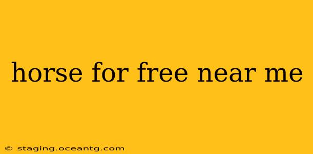 horse for free near me