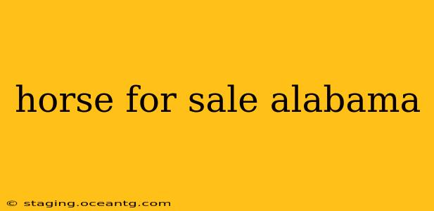 horse for sale alabama