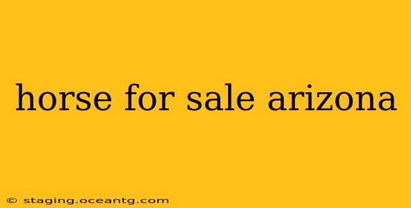 horse for sale arizona