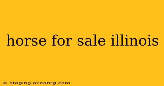 horse for sale illinois