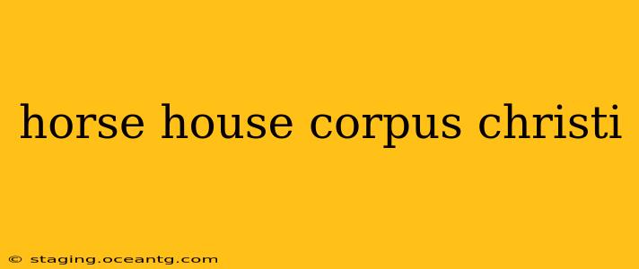 horse house corpus christi
