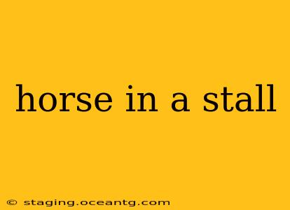 horse in a stall