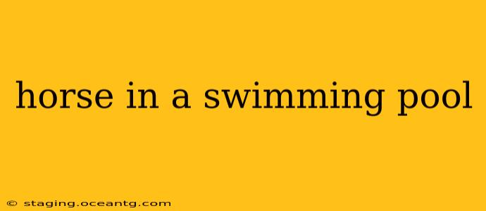 horse in a swimming pool