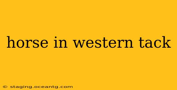 horse in western tack