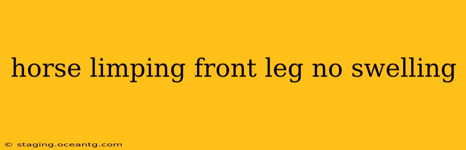 horse limping front leg no swelling