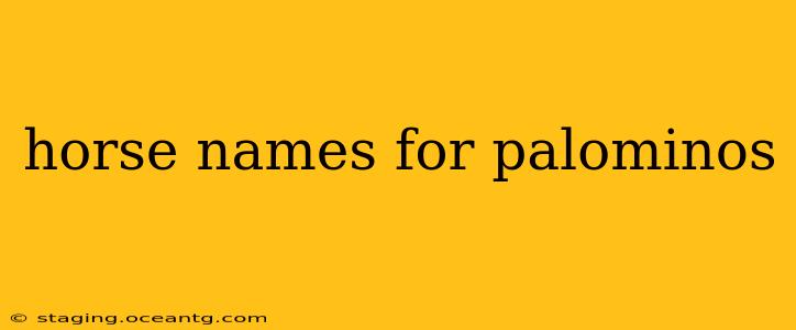 horse names for palominos