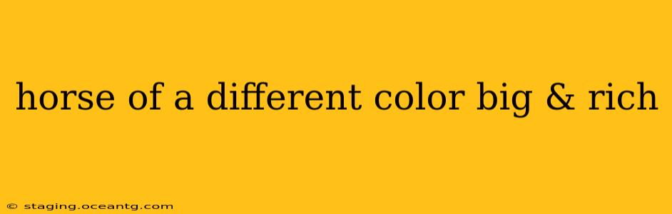 horse of a different color big & rich