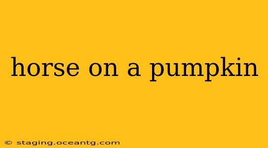 horse on a pumpkin