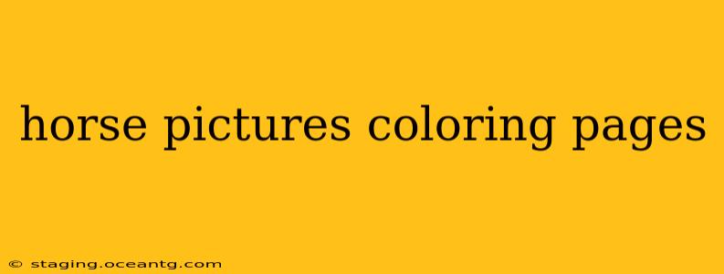 horse pictures coloring pages