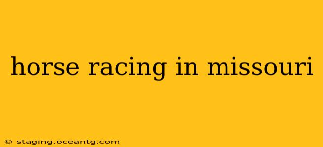 horse racing in missouri