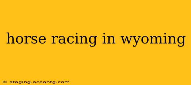 horse racing in wyoming