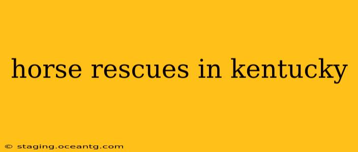 horse rescues in kentucky