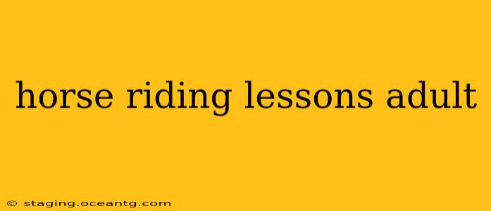 horse riding lessons adult