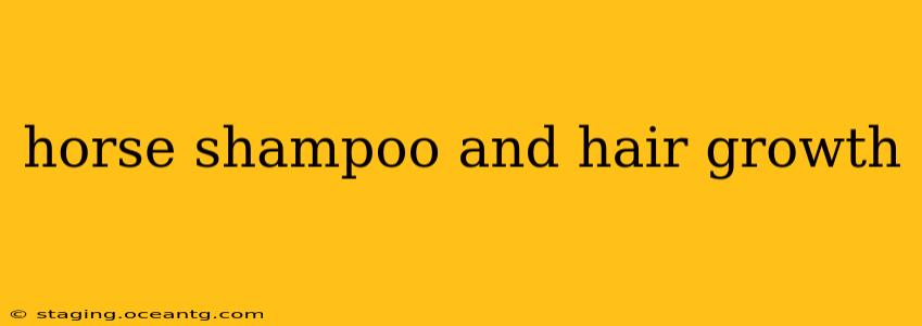 horse shampoo and hair growth