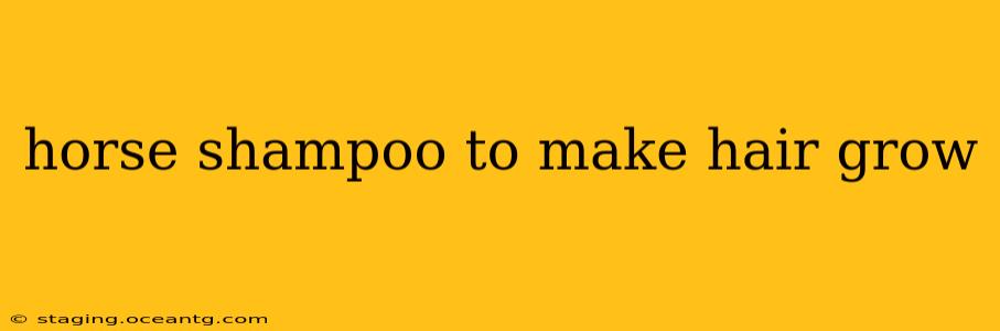 horse shampoo to make hair grow