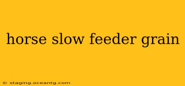 horse slow feeder grain