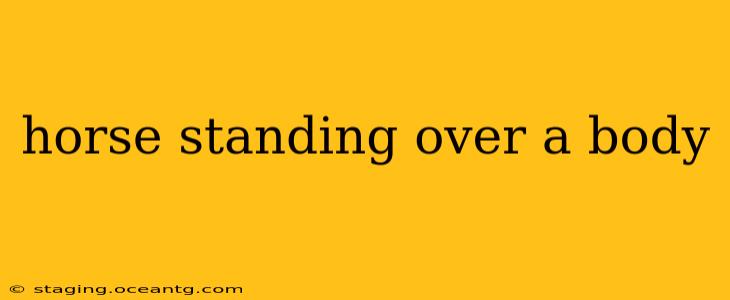 horse standing over a body