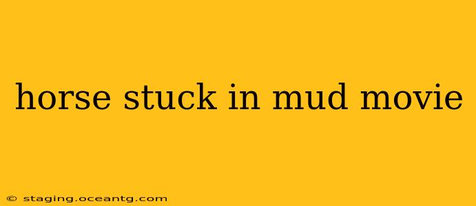 horse stuck in mud movie
