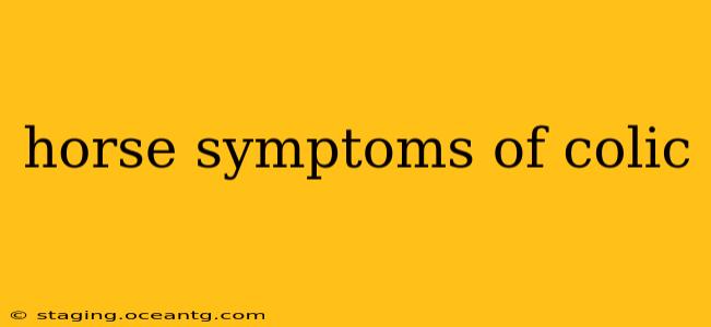horse symptoms of colic
