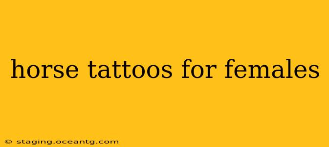 horse tattoos for females