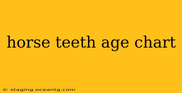 horse teeth age chart