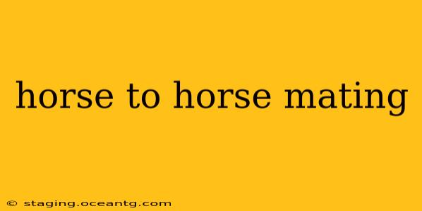 horse to horse mating