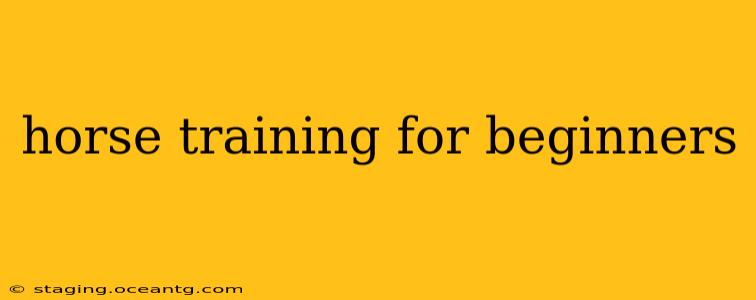 horse training for beginners