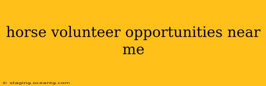 horse volunteer opportunities near me