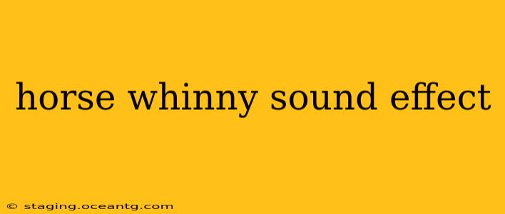 horse whinny sound effect