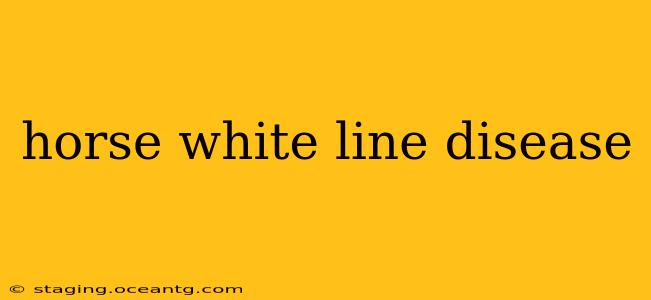 horse white line disease