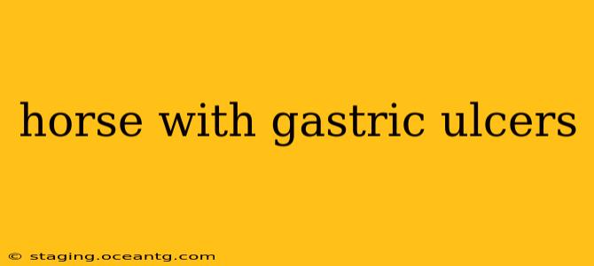 horse with gastric ulcers