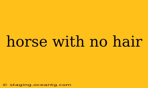 horse with no hair