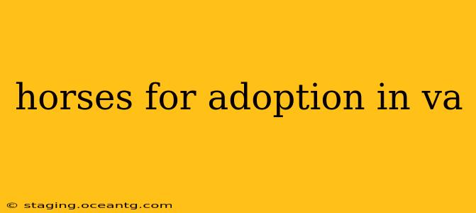 horses for adoption in va