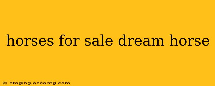 horses for sale dream horse