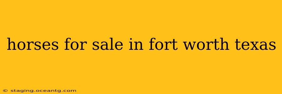 horses for sale in fort worth texas