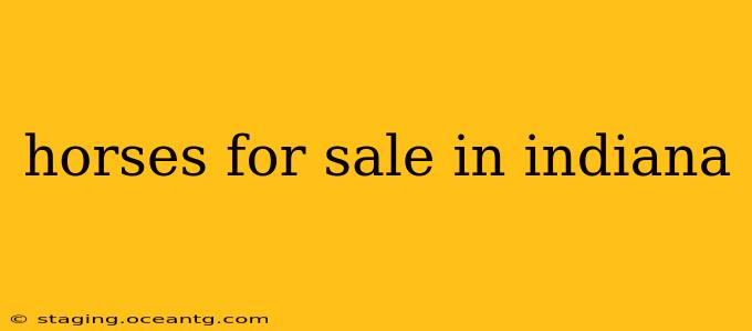 horses for sale in indiana