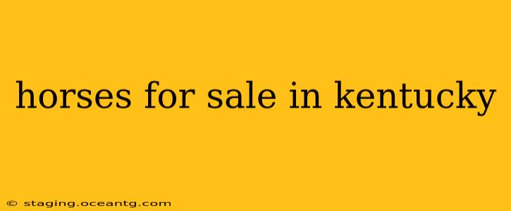 horses for sale in kentucky
