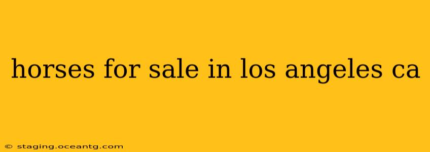 horses for sale in los angeles ca