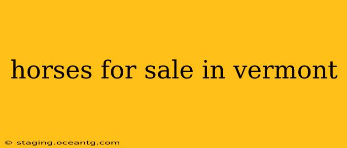 horses for sale in vermont