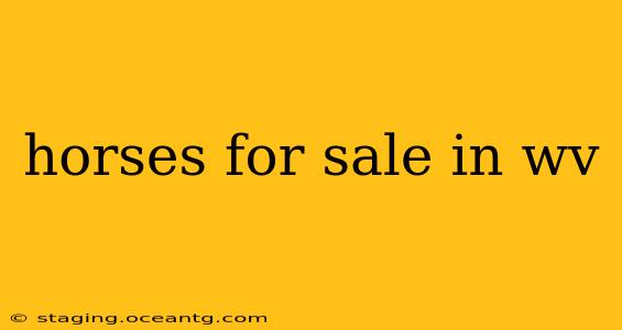 horses for sale in wv