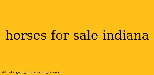 horses for sale indiana
