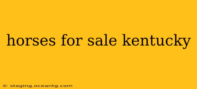 horses for sale kentucky