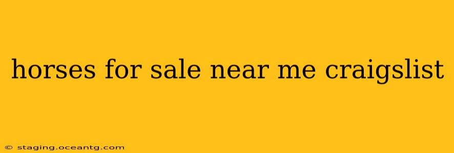 horses for sale near me craigslist