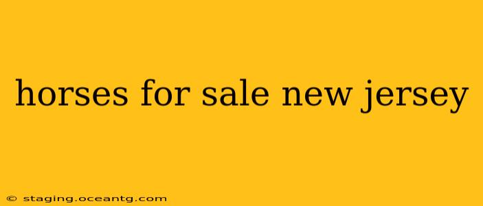 horses for sale new jersey
