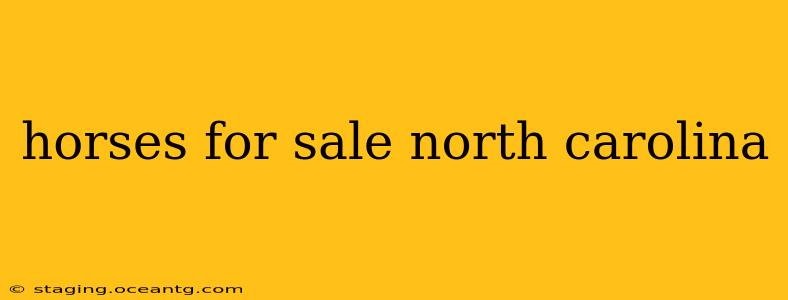 horses for sale north carolina