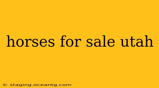 horses for sale utah