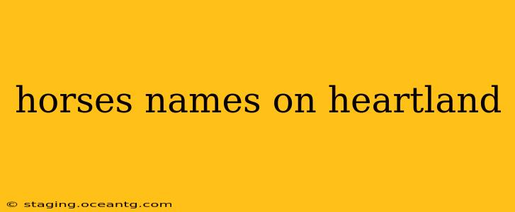 horses names on heartland