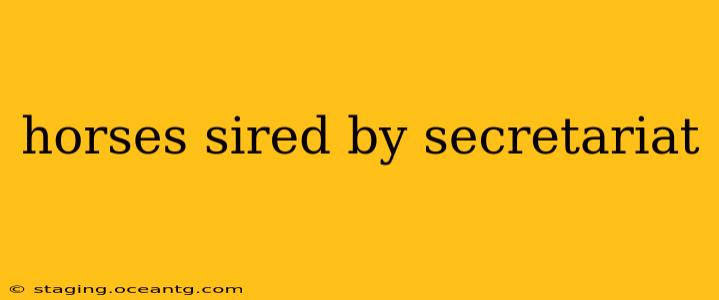 horses sired by secretariat